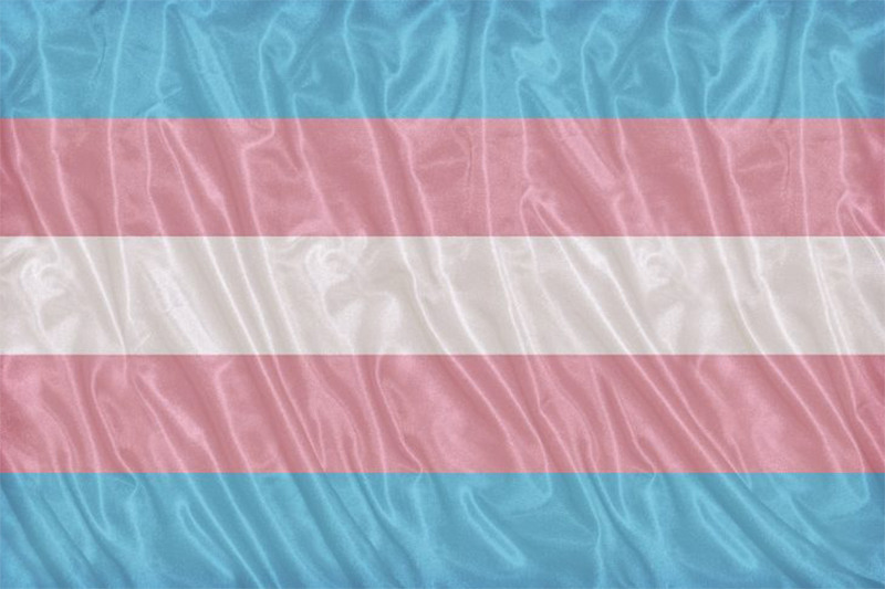 Transgender flag reduced 729x486